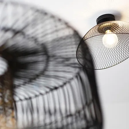 Urbankop Vidik * Kopaonik